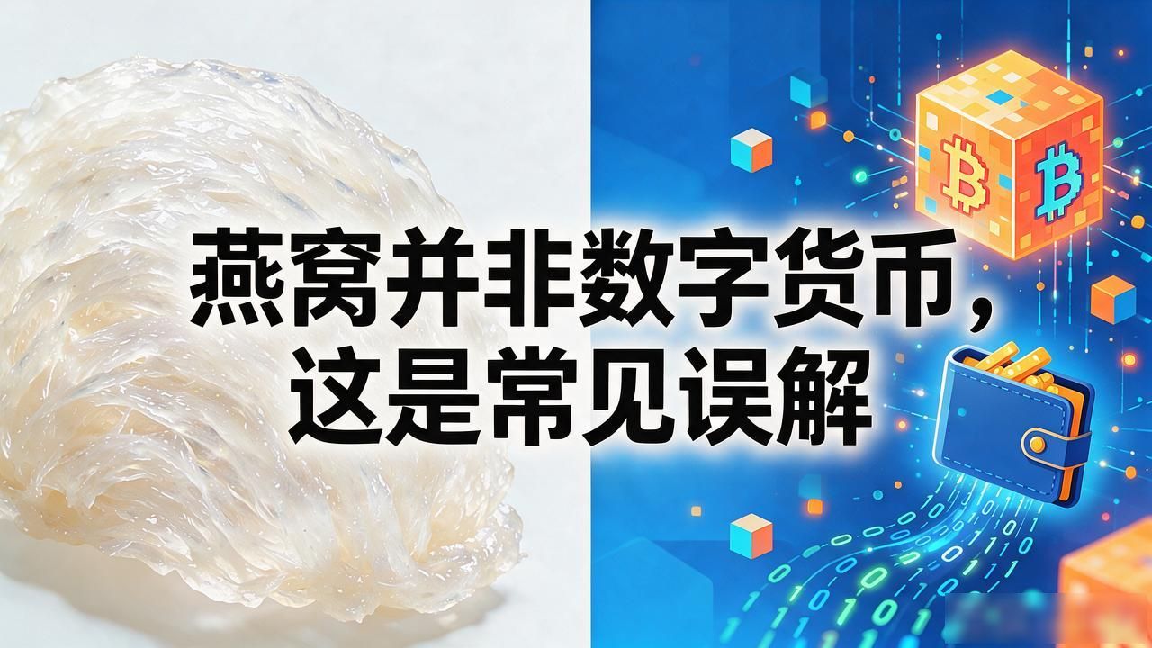 燕窝并非数字货币，这是常见误解
